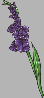 Blume Gladiol